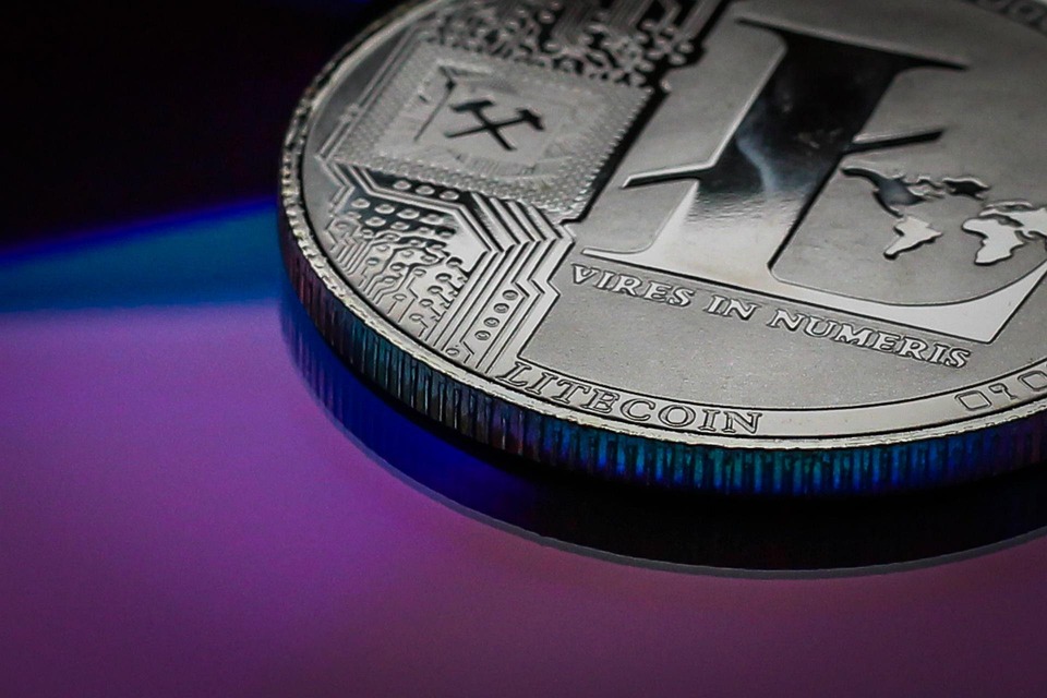 美国世界粮食计划署WFP宣布：接受BTC、ETH、USDC、DOGE、BONK等80种加密货币捐赠